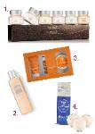 Day 1 Giveaway - Bath and Body products